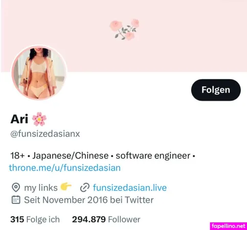 Ari Funsizedasian Main Profile Photo
