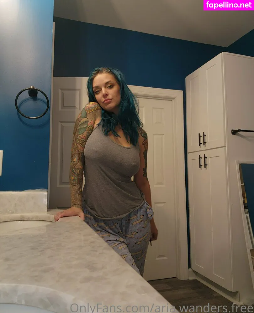 aria.wanders.free, ariwanders Nude Leaked OnlyFans Photo #7za33n9adB