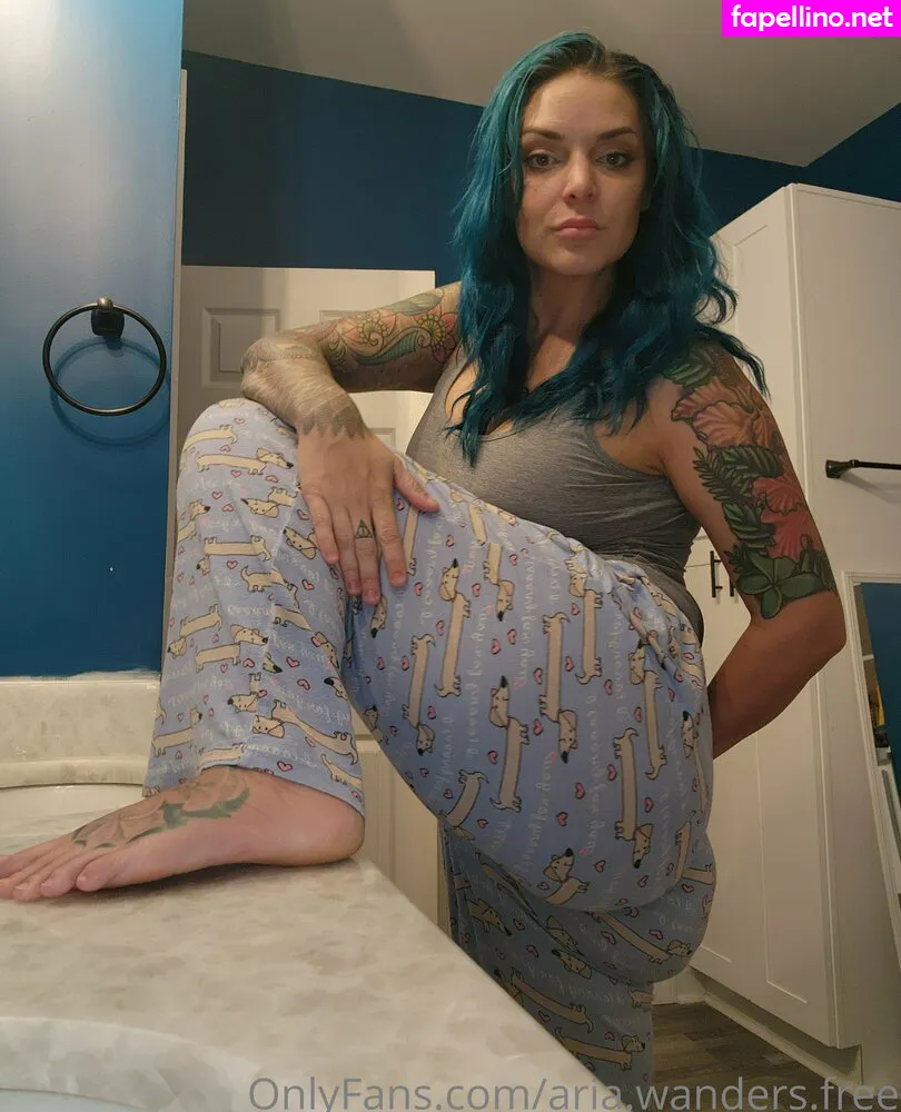 aria.wanders.free, ariwanders Nude Leaked OnlyFans Photo #e4qAYy0Rct