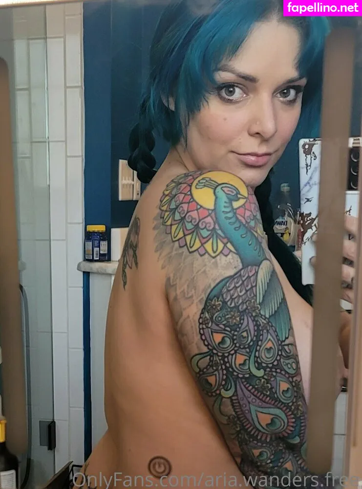 aria.wanders.free, ariwanders Nude Leaked OnlyFans Photo #mbf3fZAgV3
