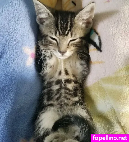 aria-wanders, aria.wanders, https: Nude Leaked OnlyFans Photo #uDVWbbQIMf