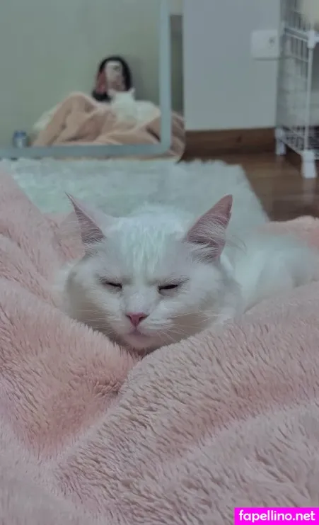 Arisepeach 3 OnlyFans Thumbnail #4c2YZWsdra