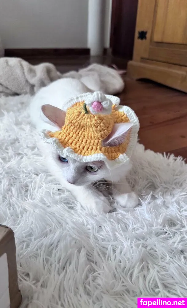 arisepeach, arisepeaches Nude Leaked OnlyFans Photo #PTQNoPq2ae