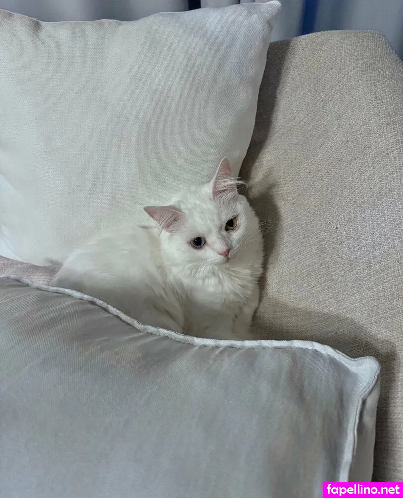 arisepeach, arisepeaches Nude Leaked OnlyFans Photo #hG0Q34oecW