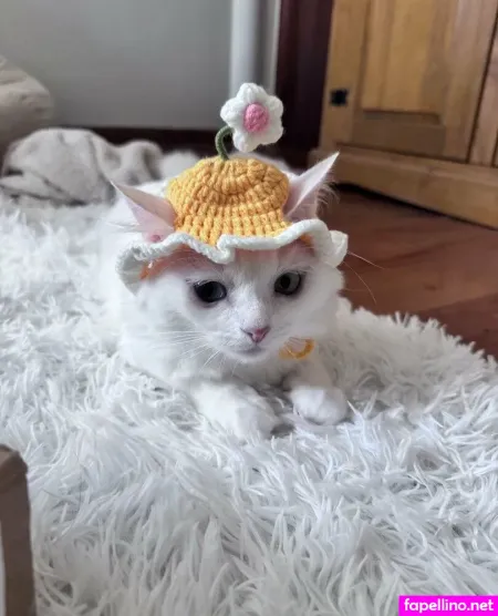 Arisepeach 3 OnlyFans Thumbnail #xuJRrss6St