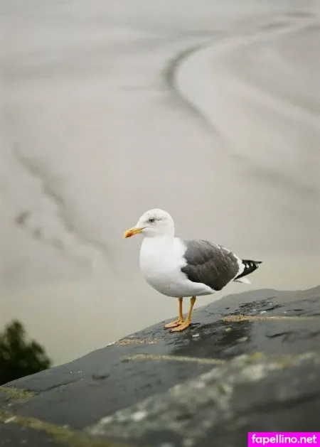 Art Soul OnlyFans Thumbnail #pJHV4ABh5l