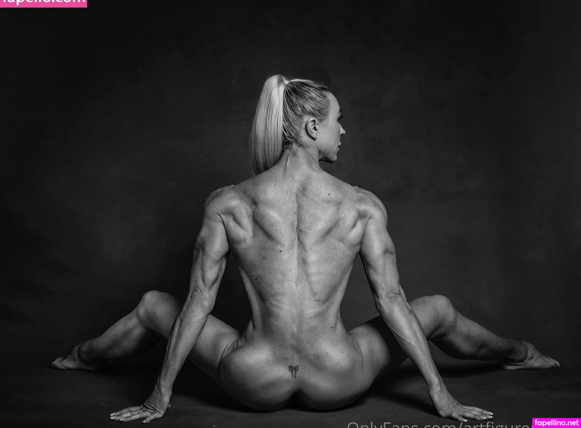 artfiguremodel, shodire Nude Leaked OnlyFans Photo #V8ZI3FYBOb