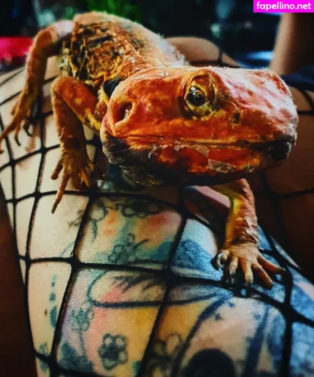 Artnvenom OnlyFans Thumbnail #5l1n70NWVF