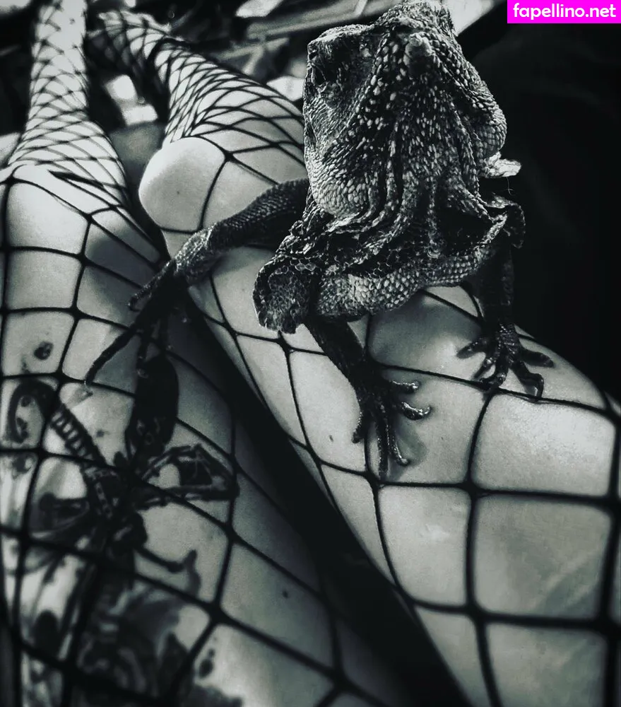 artnvenom Nude Leaked OnlyFans Photo #Dgc9hAF3oP