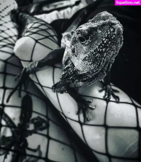 Artnvenom OnlyFans Thumbnail #QaDUWzIlCQ