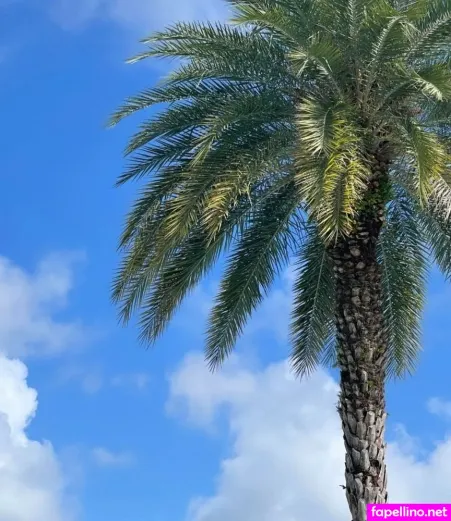 Ashley Hackel OnlyFans Thumbnail #sRNGDbt9k7