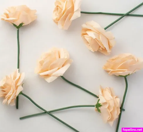 Ashley Rose 1 OnlyFans Thumbnail #2cFnXkJZxk