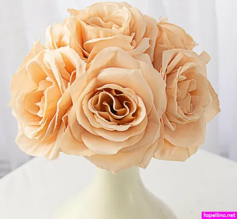 Ashley Rose 1 OnlyFans Thumbnail #oiuUkB9d5Y