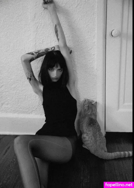 Ashrosedaniels 1 OnlyFans Thumbnail #eH8cfRTA96