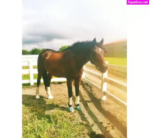 Ashton Hatchell OnlyFans Thumbnail #4OwP4Nm8K4