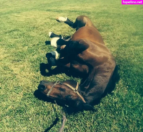 Ashton Hatchell OnlyFans Thumbnail #H4Dsx7VLB9