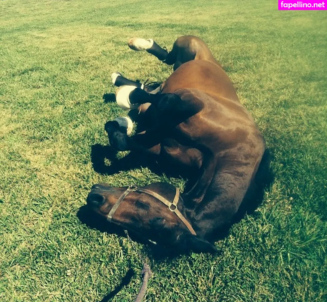 Ashmae, ashtonhatchell Nude Leaked OnlyFans Photo #H4Dsx7VLB9