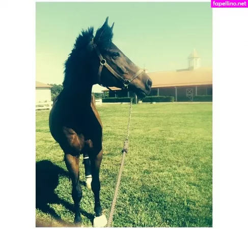 Ashton Hatchell OnlyFans Thumbnail #Iaora1tb4y