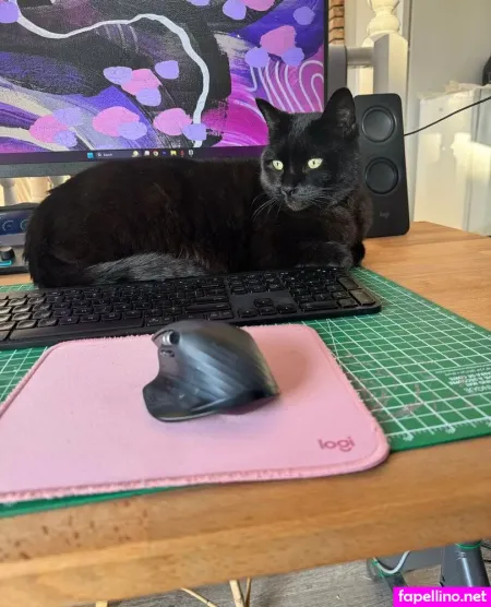 Ashtonfaye Free 2 Main Profile Photo