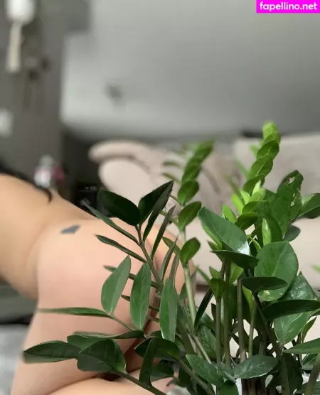 Asia Asahi OnlyFans Thumbnail #lZkXVWFL5Z