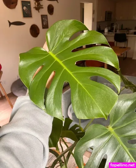 Aspencgreenthumb OnlyFans Thumbnail #7PGnL0DhRO