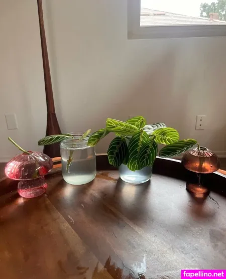 Aspencgreenthumb OnlyFans Thumbnail #96DQnGoHGm