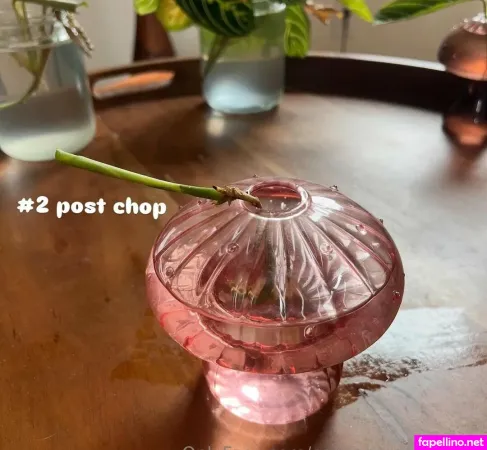 Aspencgreenthumb OnlyFans Thumbnail #FO690AZ3kc