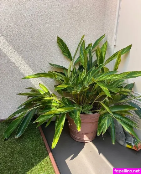 Aspencgreenthumb OnlyFans Thumbnail #HtwgENOFb7