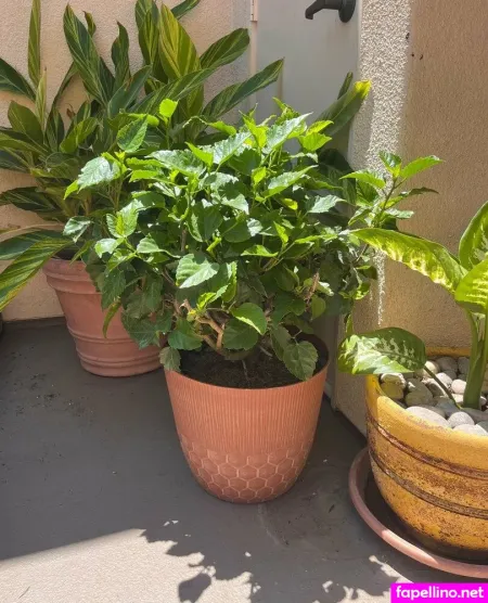 Aspencgreenthumb OnlyFans Thumbnail #KifIrtG4Bj