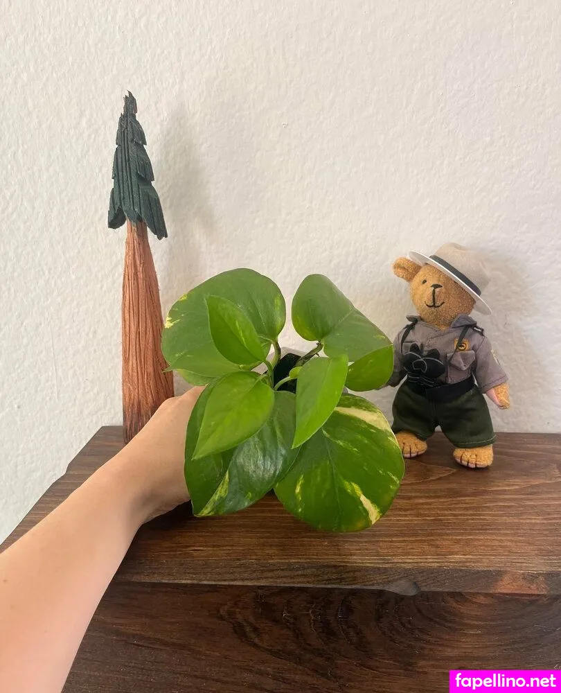 aspencgreenthumb Nude Leaked OnlyFans Photo #L9CbXlma1L