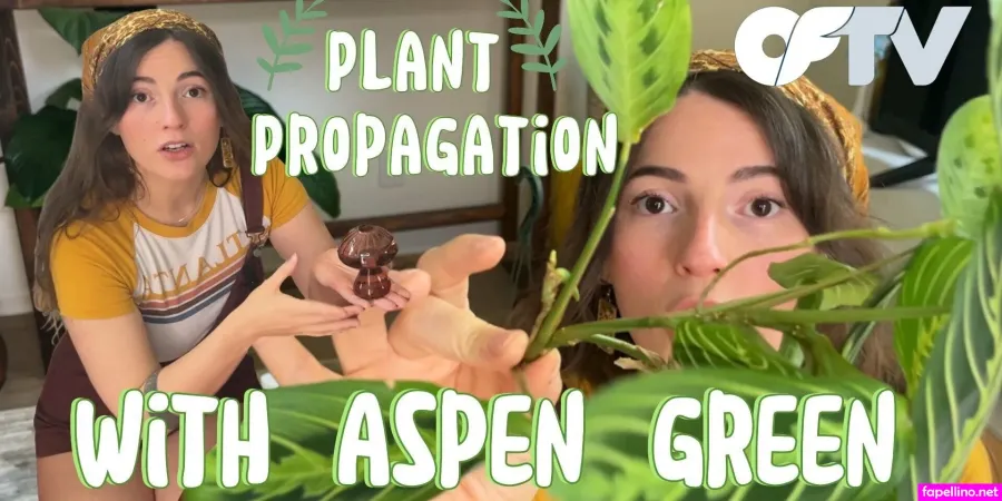 Aspencgreenthumb OnlyFans Thumbnail #NdsB4zaYEH