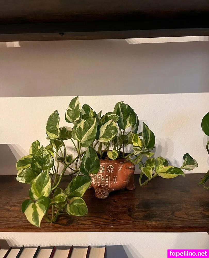 aspencgreenthumb Nude Leaked OnlyFans Photo #PHTCrfZN9F