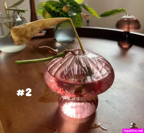 Aspencgreenthumb OnlyFans Thumbnail #PvIwtDcP9q