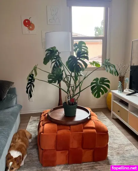 Aspencgreenthumb OnlyFans Thumbnail #RIMT6BNKXr