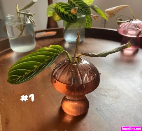 Aspencgreenthumb OnlyFans Thumbnail #VUAKhUttRs