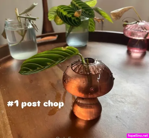 Aspencgreenthumb OnlyFans Thumbnail #WbmGvh6hGT