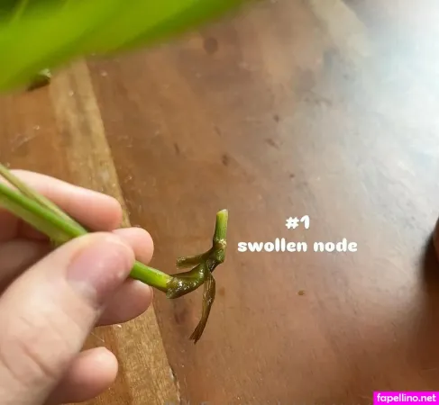Aspencgreenthumb OnlyFans Thumbnail #a3iCnq2mNV