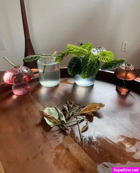 Aspencgreenthumb OnlyFans Thumbnail #eRhXeoBJB7