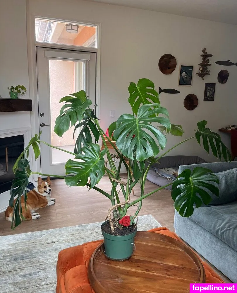 aspencgreenthumb Nude Leaked OnlyFans Photo #xIWsm35sf2