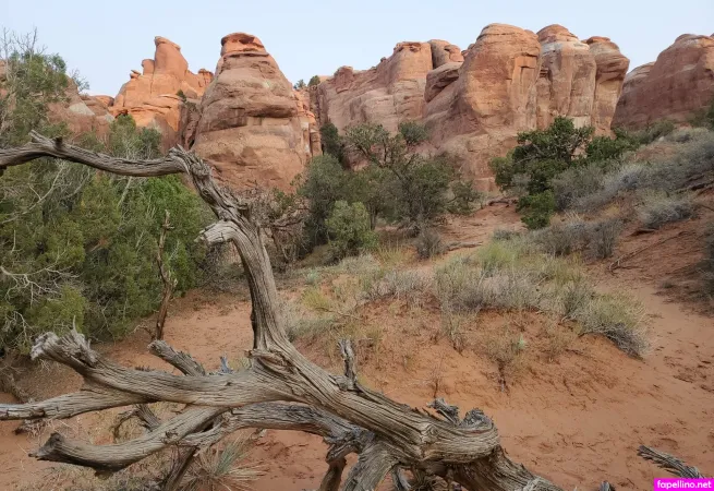 Aspensnow Free OnlyFans Thumbnail #H4ozGaInMY