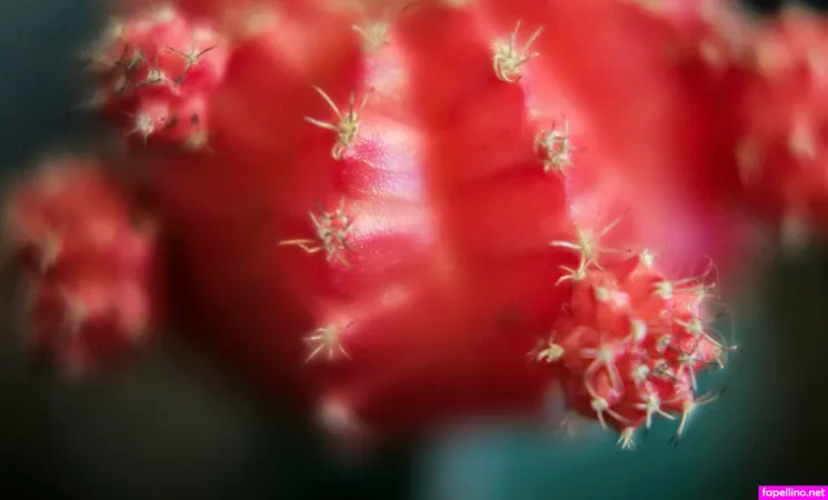 Assmer OnlyFans Thumbnail #qrBQTvZhZs