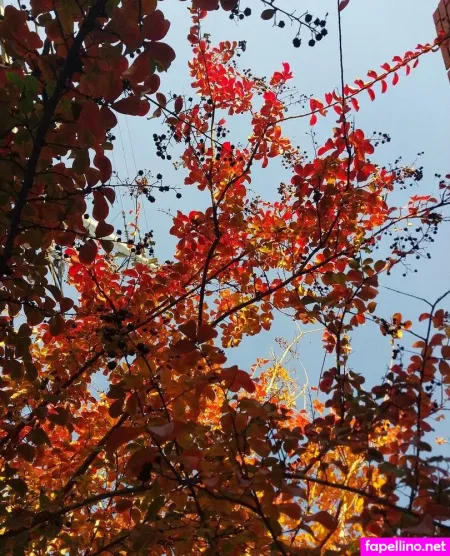 Astragolden OnlyFans Thumbnail #8oPI5V9FgI