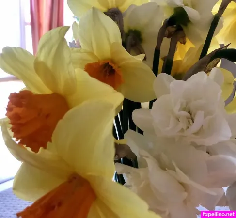 Astramia OnlyFans Thumbnail #glwvdp7fhC