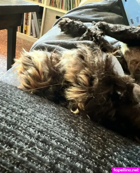 Astreanoir OnlyFans Thumbnail #N5Xz6EzJ2U