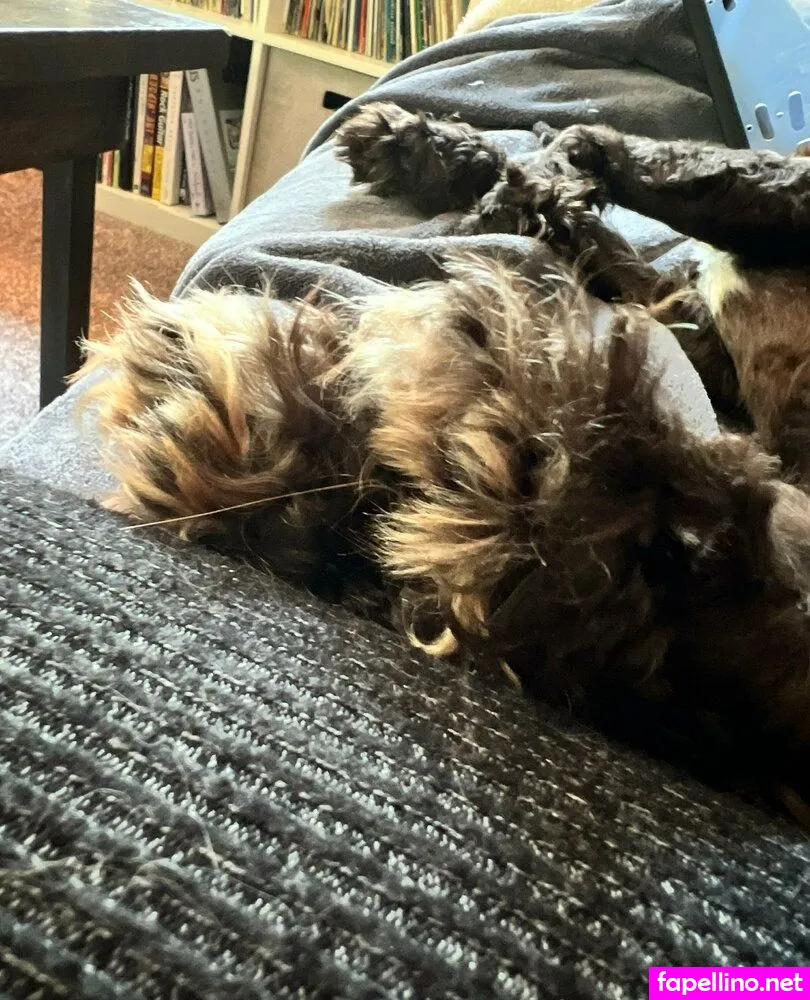 astrea_noir, astreanoir Nude Leaked OnlyFans Photo #N5Xz6EzJ2U