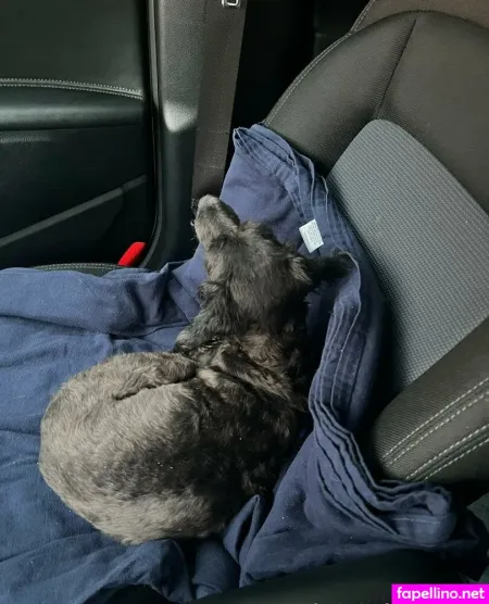 Astreanoir OnlyFans Thumbnail #QBllX7wGSP