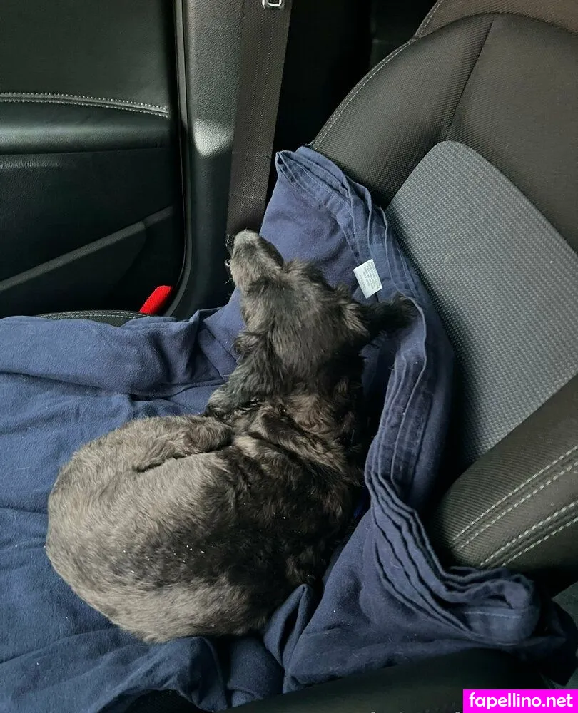 astrea_noir, astreanoir Nude Leaked OnlyFans Photo #QBllX7wGSP