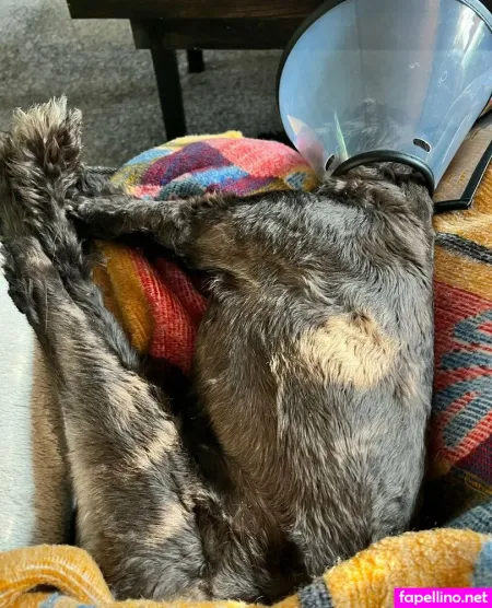 Astreanoir OnlyFans Thumbnail #S4cWv96cSB