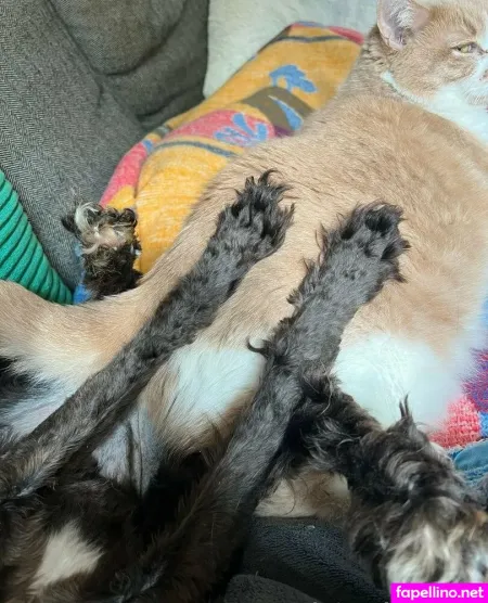 Astreanoir OnlyFans Thumbnail #TA0MKch4bw