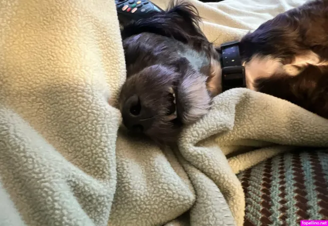 Astreanoir OnlyFans Thumbnail #fWXjJbySSq